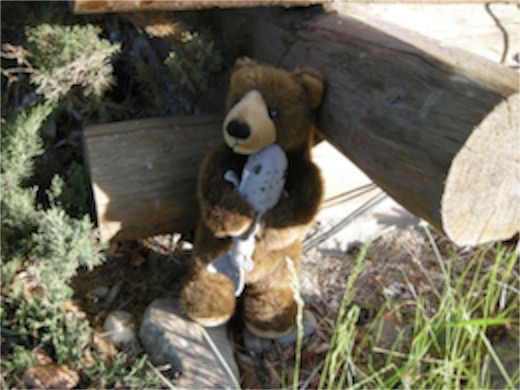 Edward at the Boulder