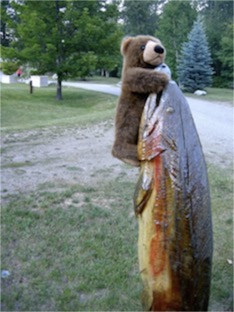 Bear and Fish