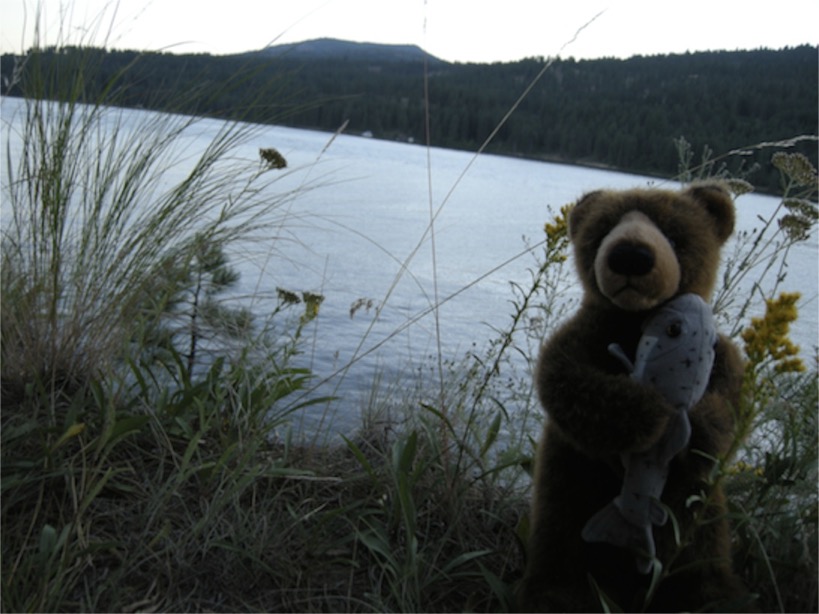 Edward at Almost Canada