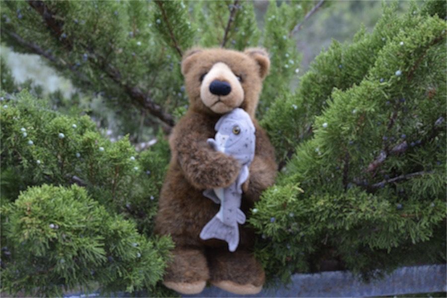 Edward in Moses Lake