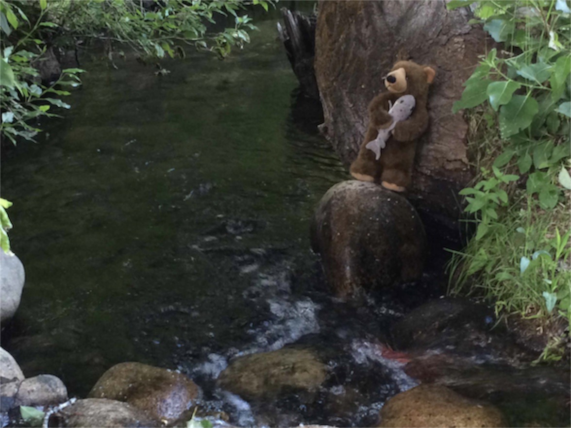 Edward at Rock Creek