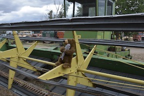 Edward and the Combine