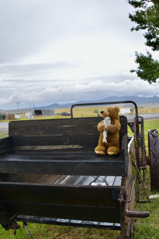 5DE89EEA-04DD-40B1-9AC1-02743AF91C86_1_105_c