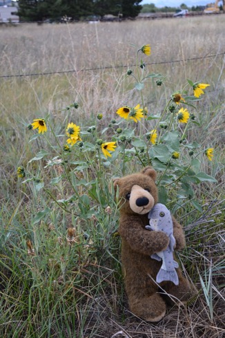 C3B06781-95B4-41F7-9742-A4093F3B2562_1_105_c