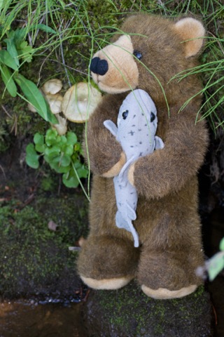 Plum creek campground