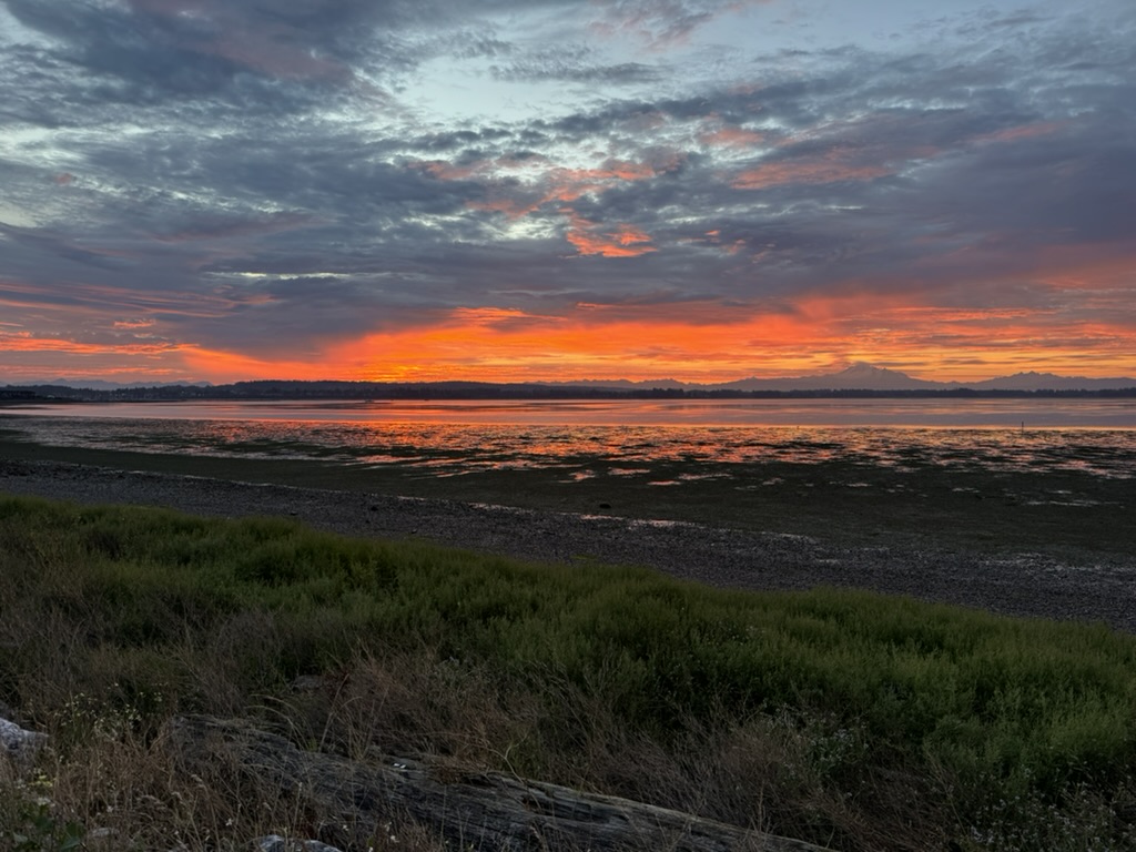 11846F52-266E-4EA5-8ADA-4A2D7BE35F76_1_105_c