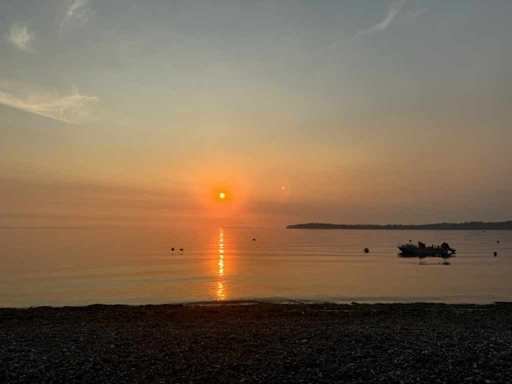 2896C6E5-1614-43F1-9D92-7D6F4633AE0B_1_105_c