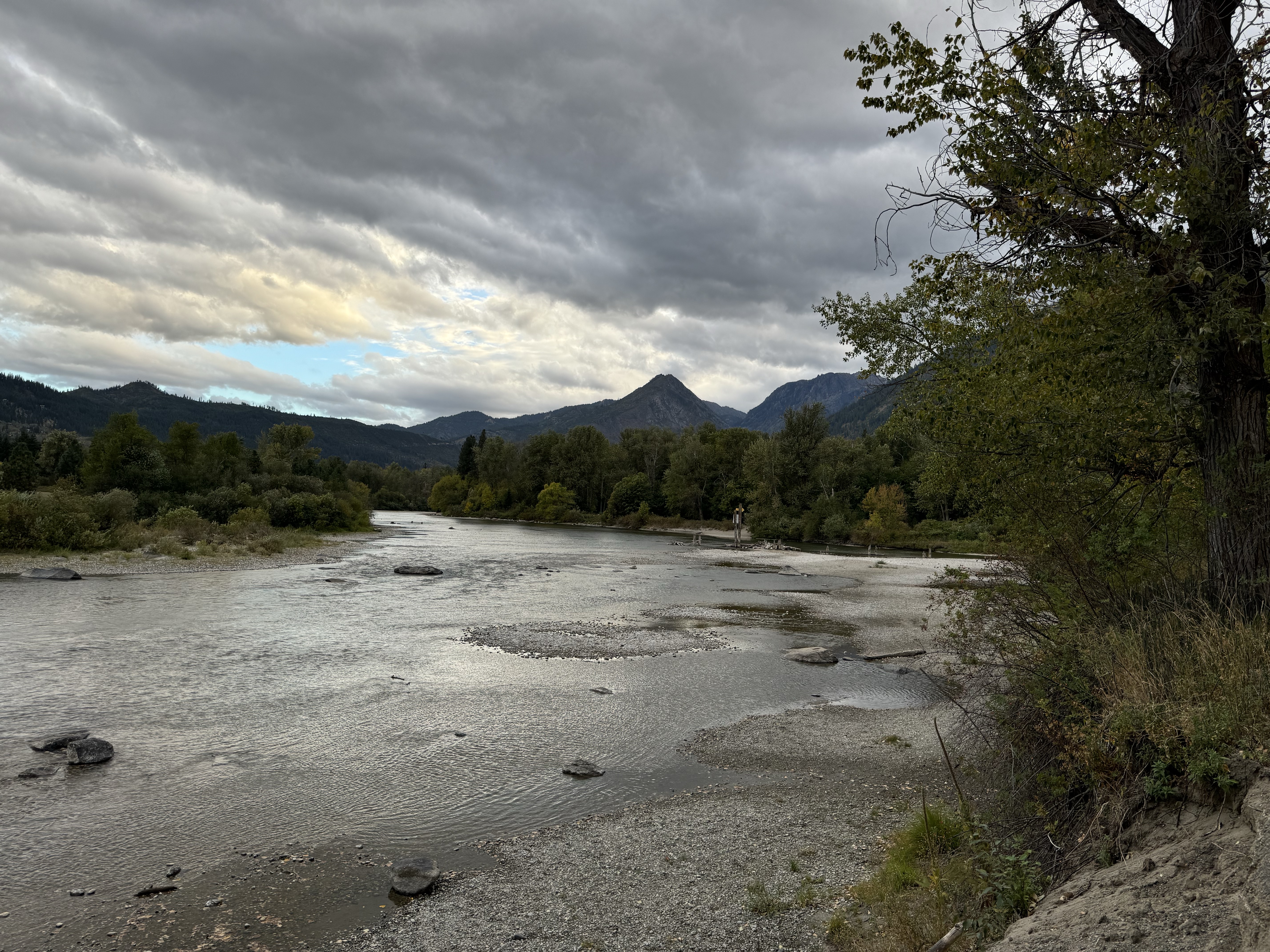 8DF9142B-7AD7-4F80-A81F-91C10DF755B8