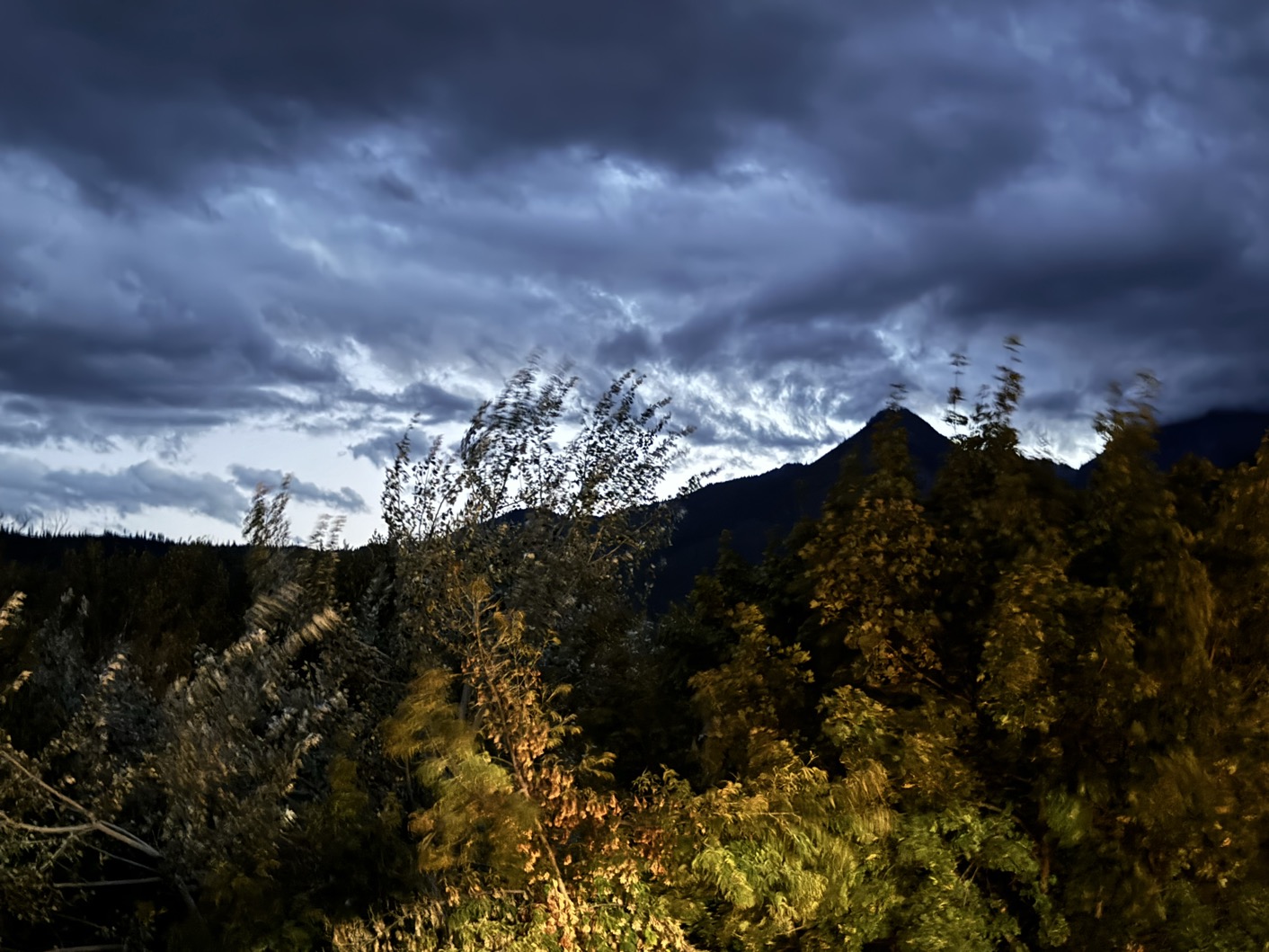 995B4B53-D205-4B61-8847-1BA143551BD4