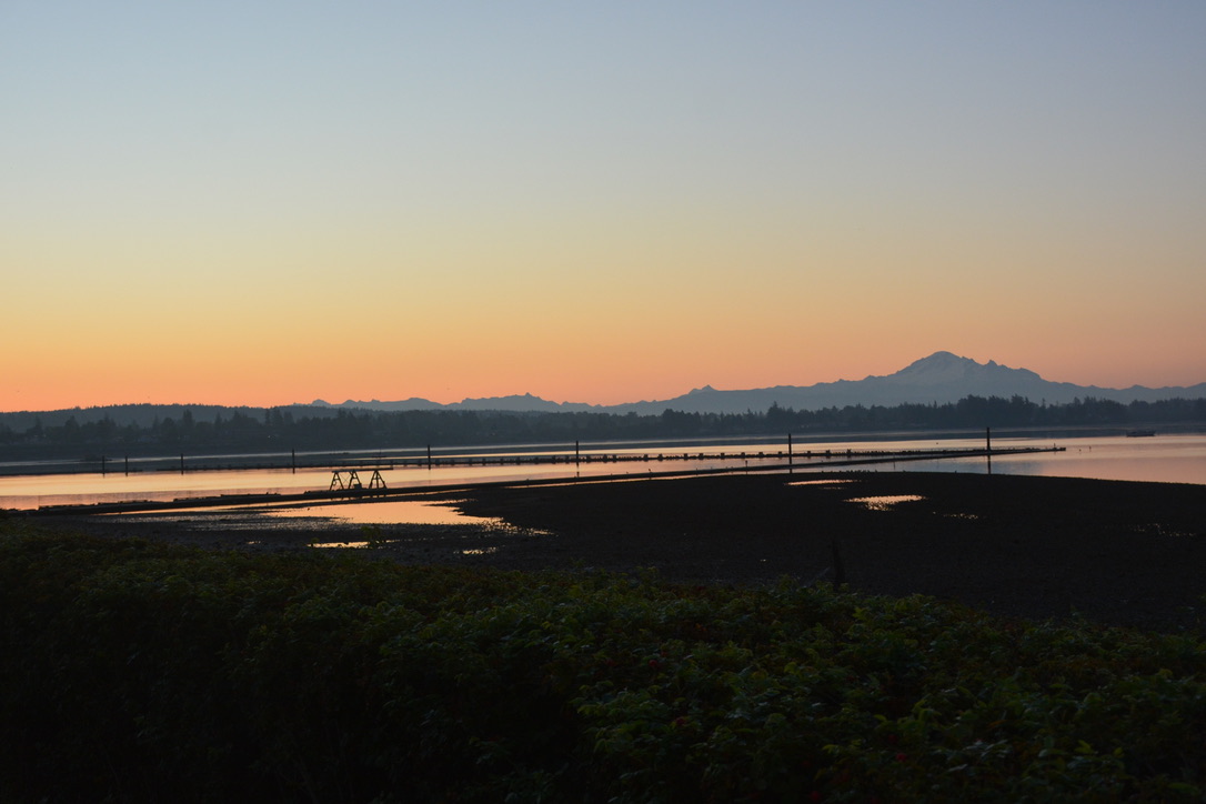 9D2C7EE3-751B-49F4-8206-FC06F9F88107_1_105_c