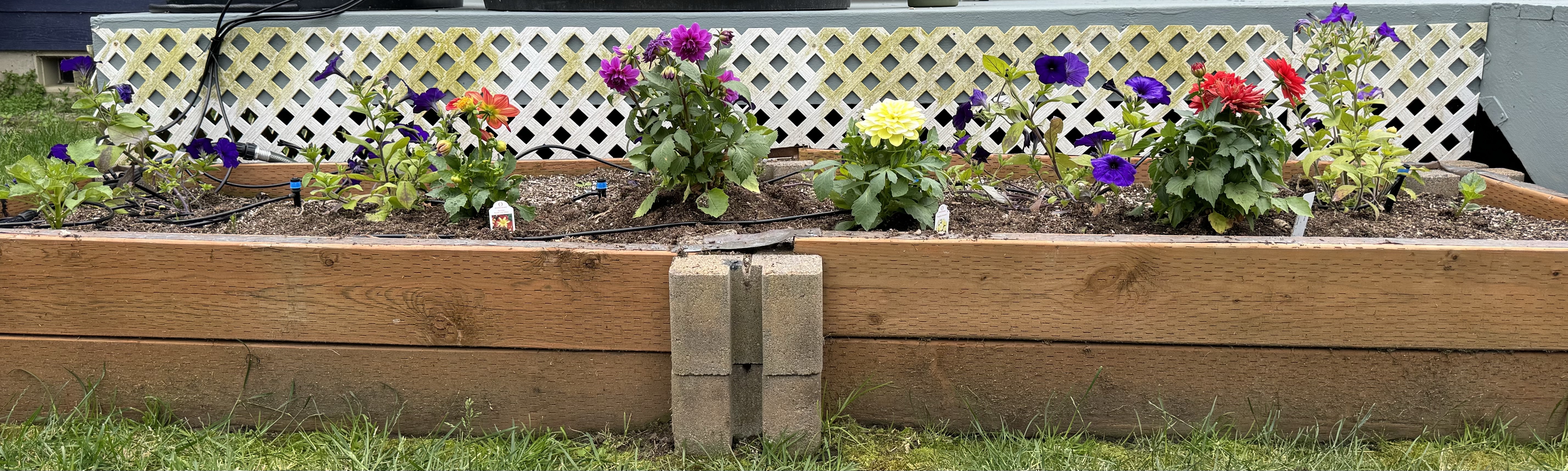 873E243F-1453-4564-BFD5-B521CDE5E240_1_201_a