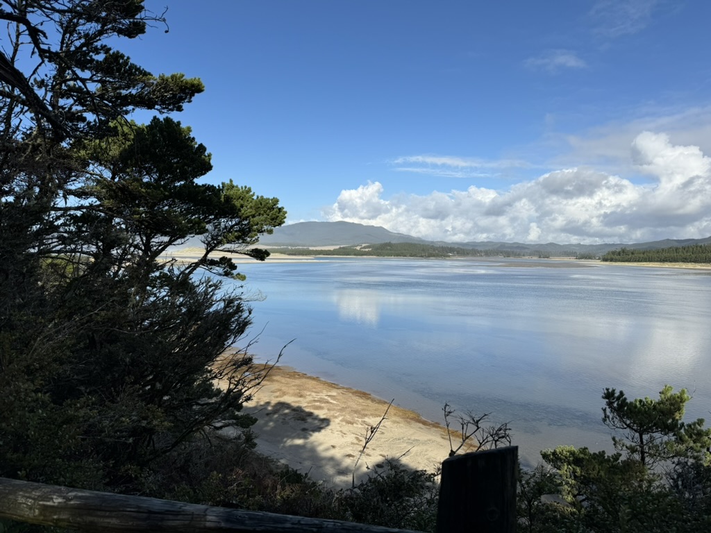 E6B0D128-5C19-4497-9BDF-A5A2487C146F_1_105_c