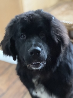 F27E8D77-7ED5-4D9A-B779-A87C7F2EC141_1_105_c