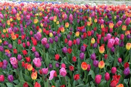 5489D84B-D9E0-43D8-88B3-D8E8D8462934_1_105_c