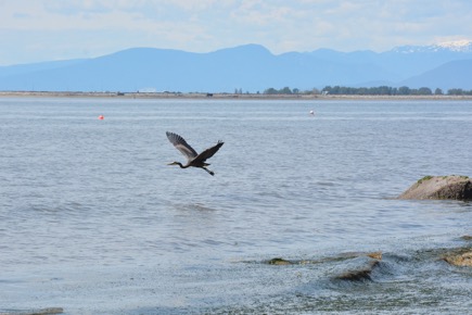 5B707659-079A-4B7C-9425-50CE916FA304_1_105_c