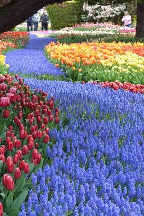 2B8668D9-84E2-4C61-A281-435BB9C2262F_1_105_c