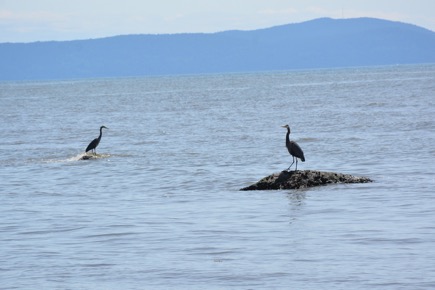 500AE2FA-77C1-4398-824B-741AD55329A8_1_105_c