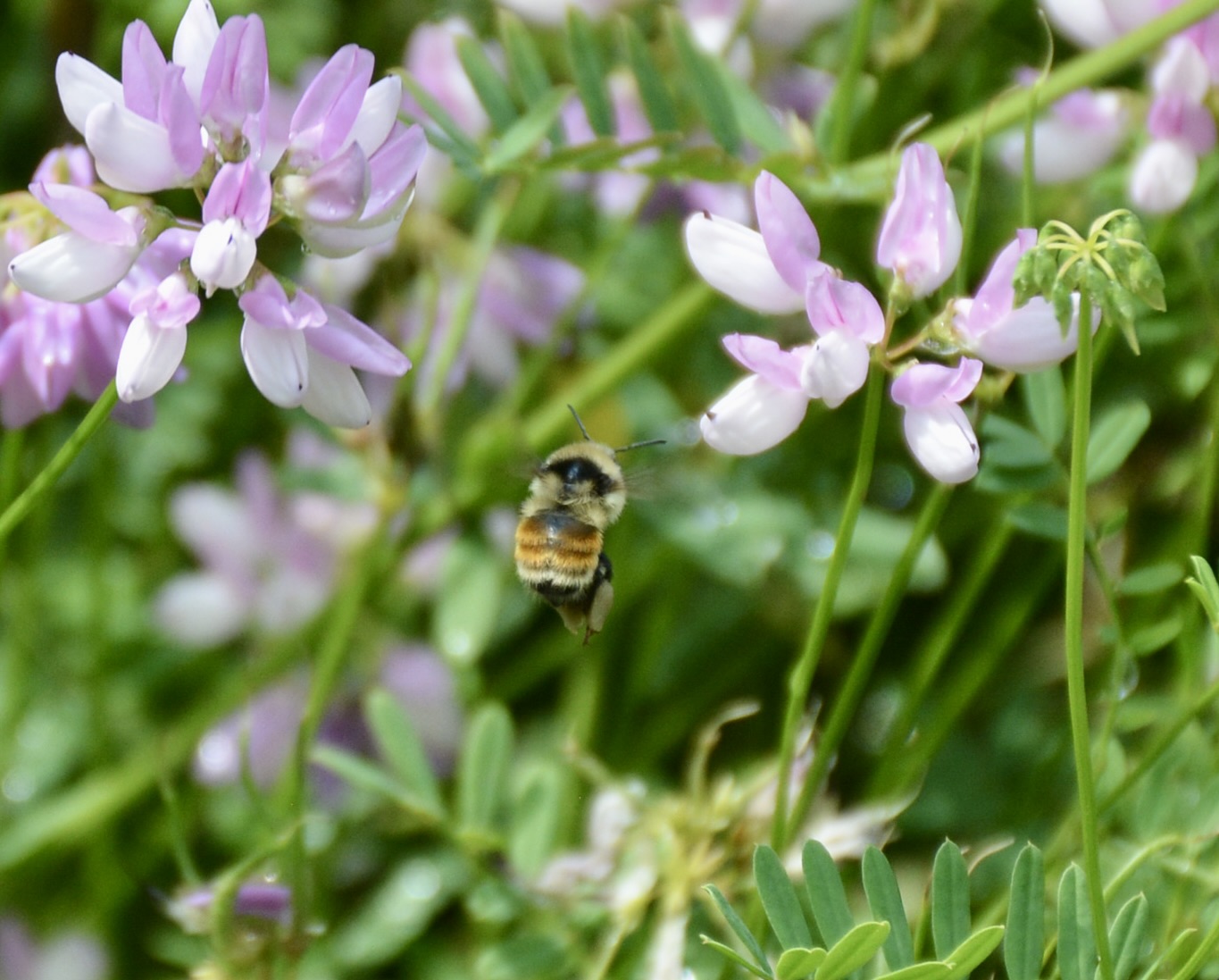 16F7ADE3-7F34-424B-B47D-C5DDF28B33B5_1_201_a