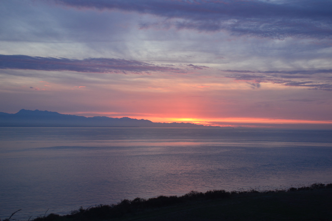 56A4A25D-A740-488D-B557-EF6FA6D5FFDE_1_105_c