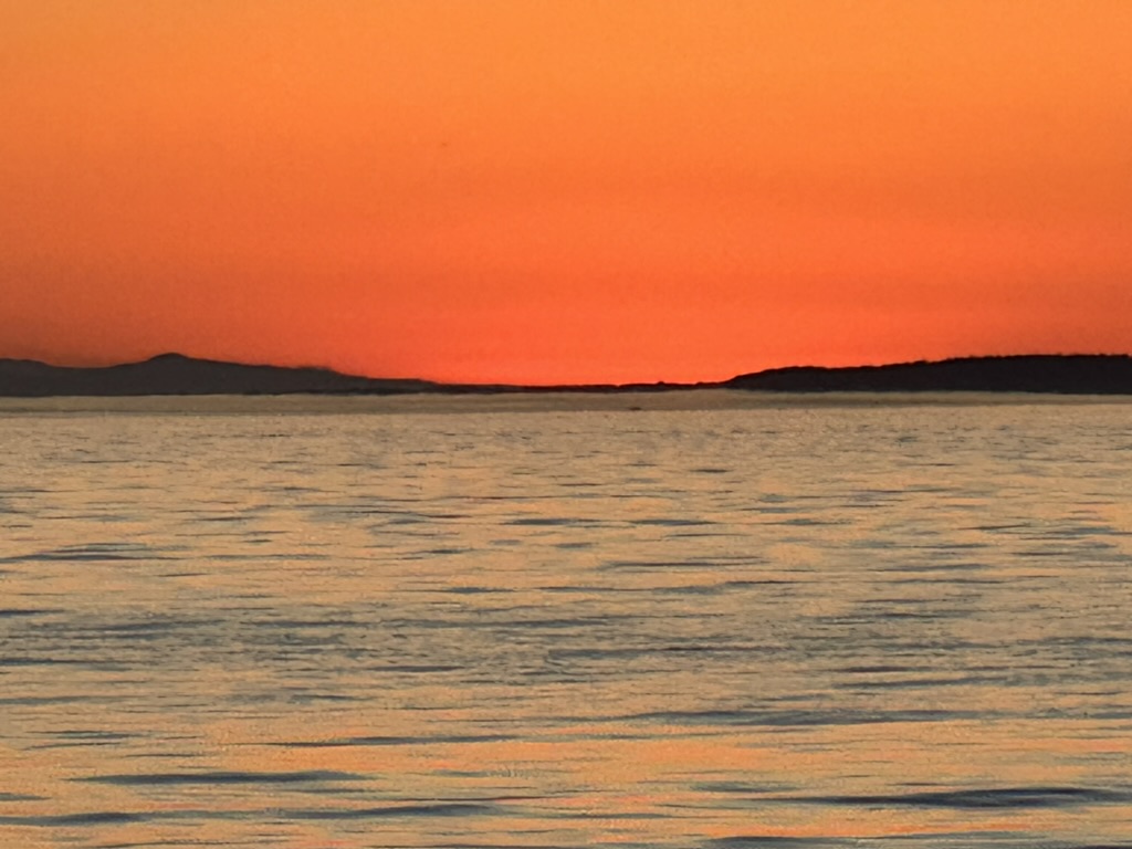 866F5A86-783A-4102-BC76-AFD70F256230_1_105_c