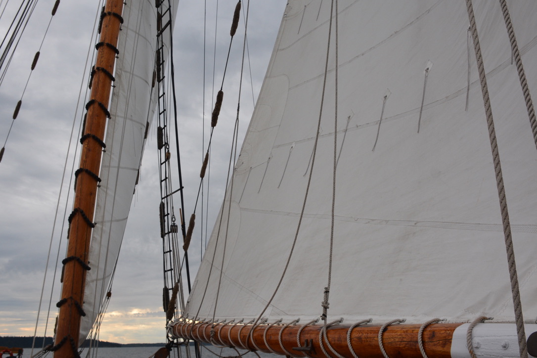 F1186C65-E9C5-482B-803D-3E21EC864E42_1_105_c