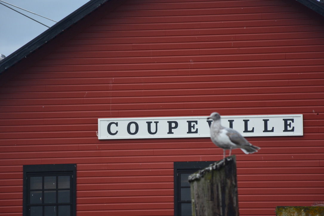 F3C170F6-1F15-4F56-8C0C-93E5BC50B9F1_1_105_c