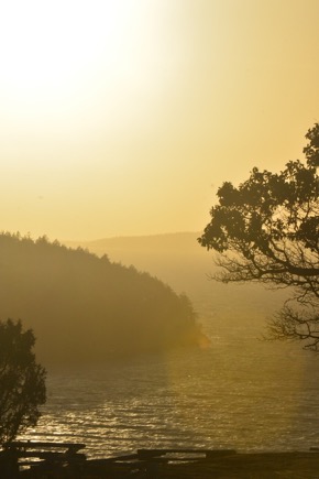 washingtonparkanacoertes