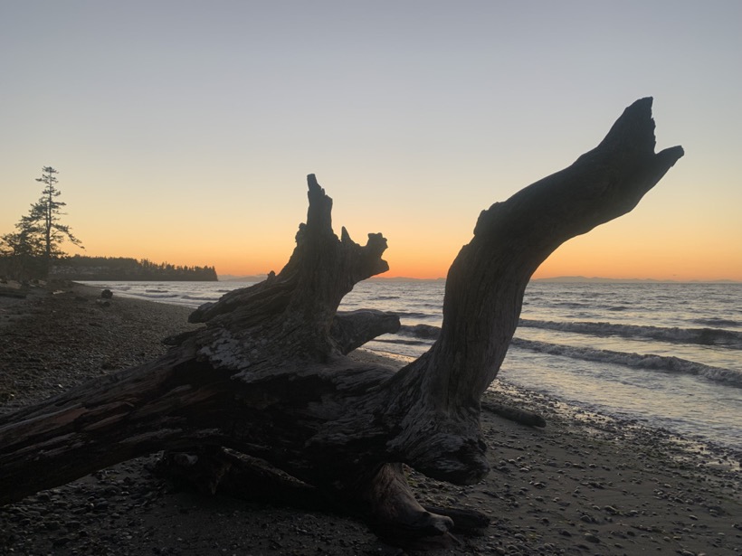 8A86C6E0-EEBB-4F03-B86D-E0812D86DD61_1_105_c