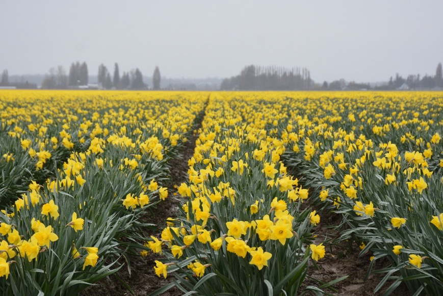 4F822FEC-6B2F-4357-A8D1-C4F43655D6B6_1_105_c