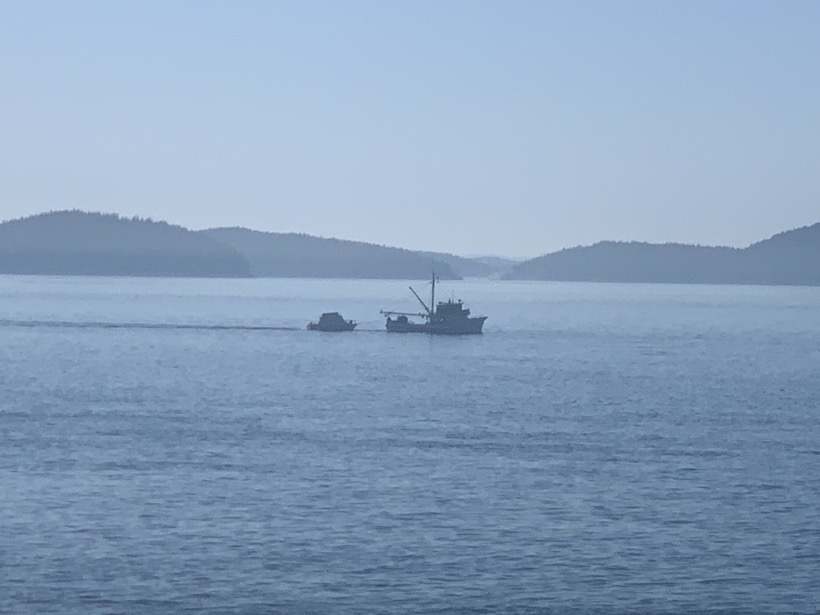 F77D0835-323D-4ACE-A1DF-98C8E6FAD881_1_105_c