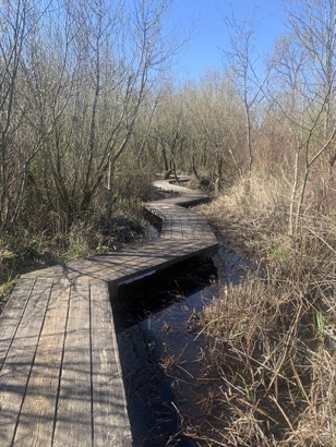 1B8F19C4-DC22-4CFA-BFE0-AAA460287C2F_1_105_c