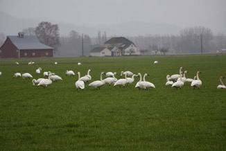 00CBCFDC-55CC-4DCC-ACA6-1039DC488300_1_105_c