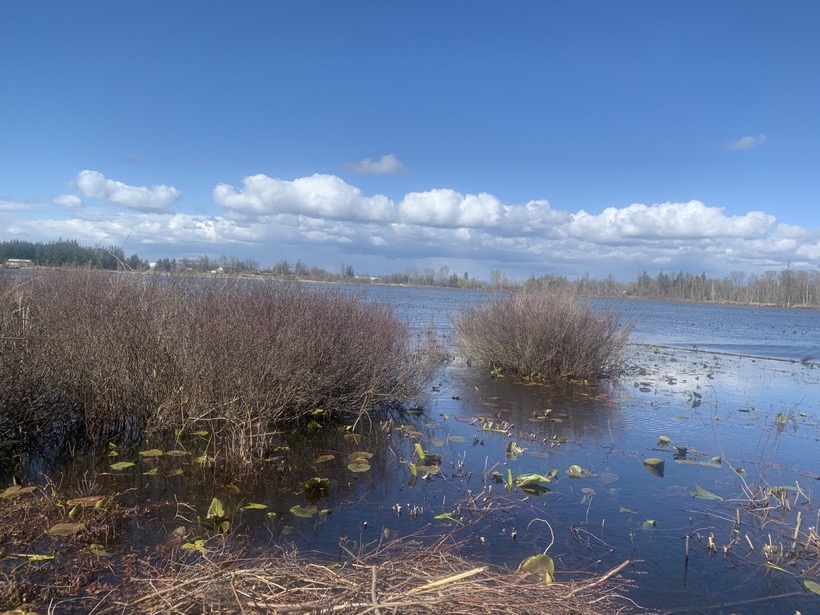 7479FEF8-8DD2-415E-87C8-AD84EC681F8F_1_105_c