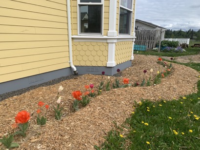 253D9F6F-537A-4784-9814-1B9879845BF4_1_105_c