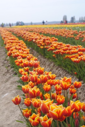 9E1EDEBA-9EE8-4152-BBC6-7ECBF63AFAC8_1_105_c