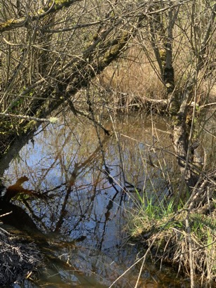 ACE48419-D3D1-4E73-BD23-F538699EC3C6_1_105_c