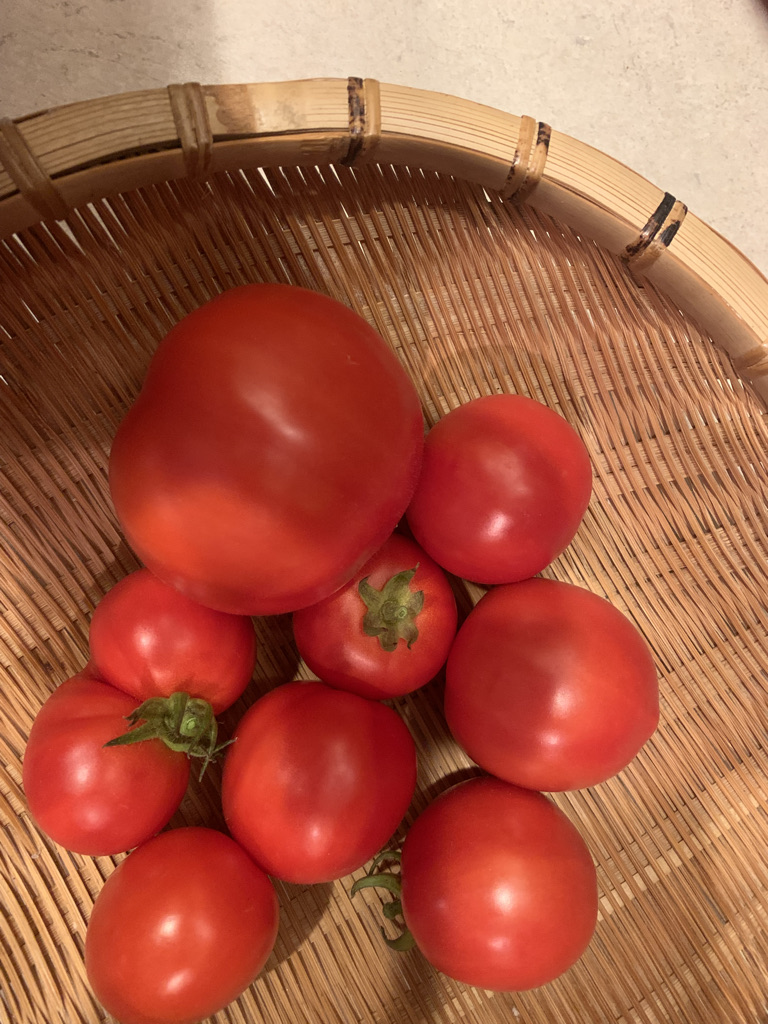 9DEAF195-C9C4-4419-AE19-4E9A257CD81B_1_105_c