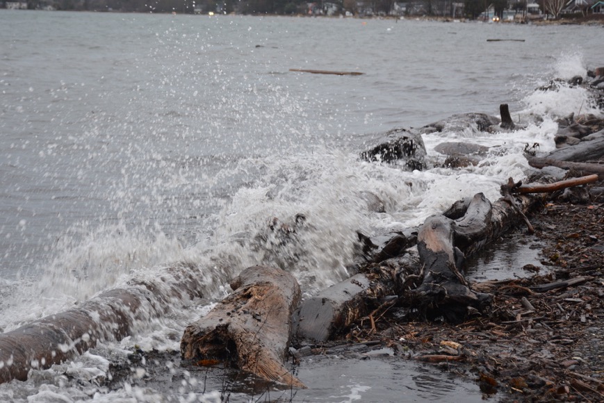 F5BFC26C-B422-493B-BA99-E8EAD8D3DB10_1_105_c