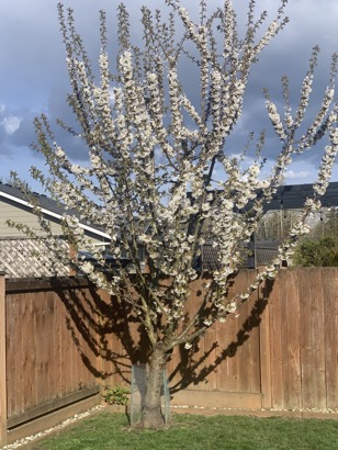 9B47A8A8-05D3-41D5-B1C5-6A97BFD9193C_1_105_c