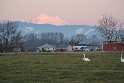 516EDE20-4D8B-43A7-B4E0-771F5FF6B75B_1_105_c