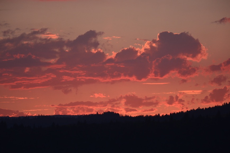 97D0867F-2F95-4056-BA0F-43F083D2C1D8_1_105_c