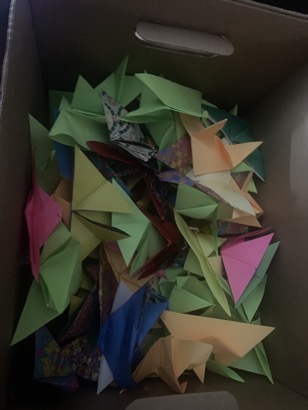 4E5DA826-C076-486E-A899-35D8821C282F_1_105_c