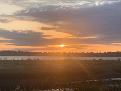 47CD8C84-D752-4A38-901B-81688615B31F_1_105_c