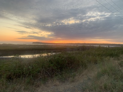 05B87192-BEEF-4292-9262-4E5EE1B602ED_1_105_c